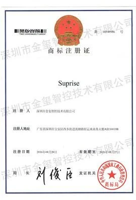 Suprise(001)